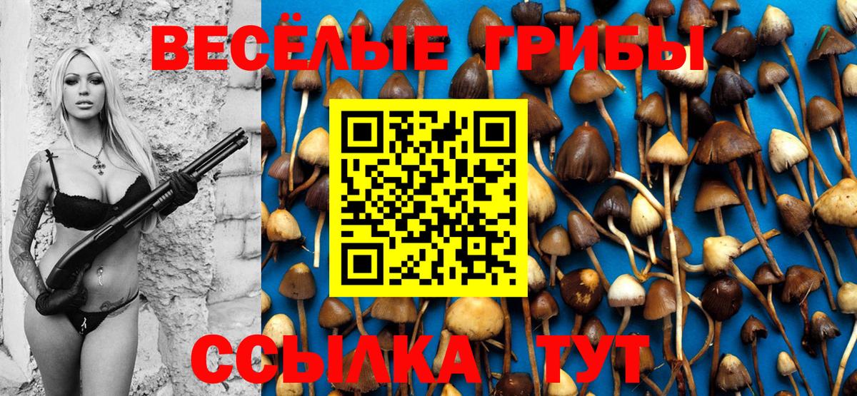 Галлюциногенные грибы прущие грибы Кизляр