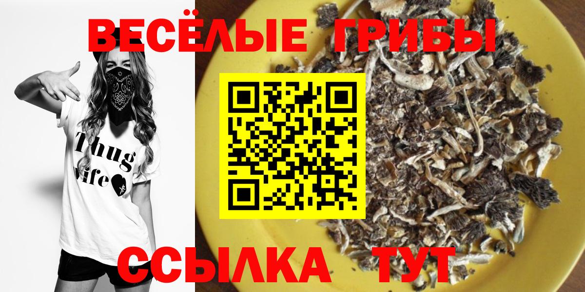 Псилоцибиновые грибы прущие грибы  магазин    Кизляр  Вход с VPN 