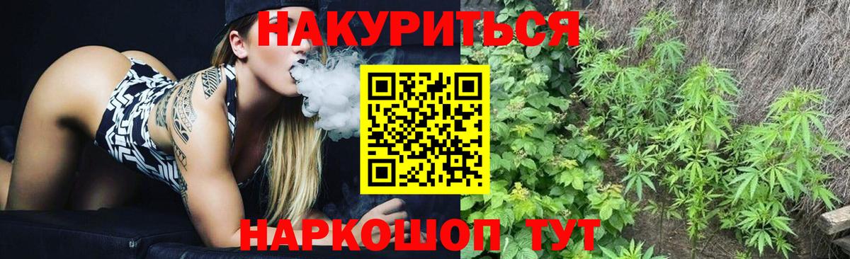 Кизляр  Конопля план  Шишки марихуана сатива  Вход с VPN 